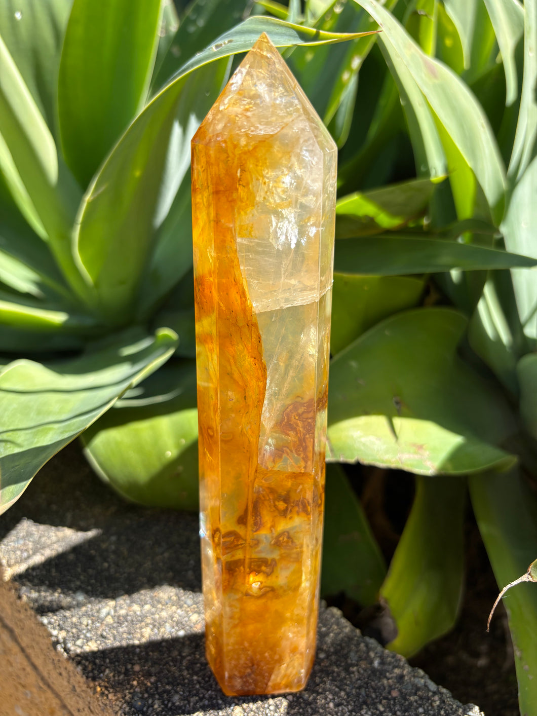 Golden Healer Quartz Point SKU 26722