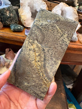 Picture Jasper Slab in Stand SKU 26619
