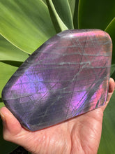 Purple Labradorite Freeform SKU 25052