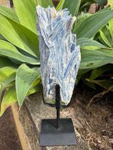 Blue Kyanite Cluster on Stand SKU 26264