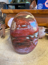 Petrified Wood Freeform SKU 25837
