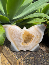 Druzy Agate Butterfly Carving SKU 27044