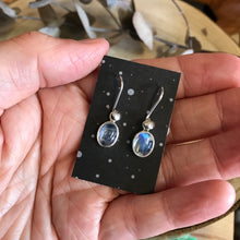 Rainbow Moonstone Earrings SKU 23201