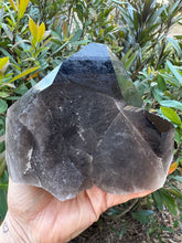 Smoky Quartz Natural Point Cluster SKU 25074