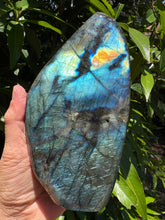 Labradorite Polished Freeform SKU 25469