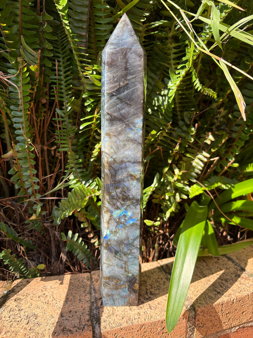 Labradorite Large Point Generator SKU 26759
