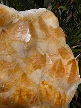 Citrine Large Cluster SKU 25332