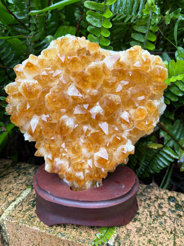 Citrine Cluster in Wooden Stand SKU 24910