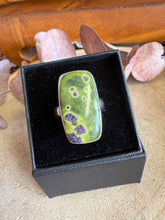 Entia Sterling Silver Serpentine & Stichtite Ring SKU 25810