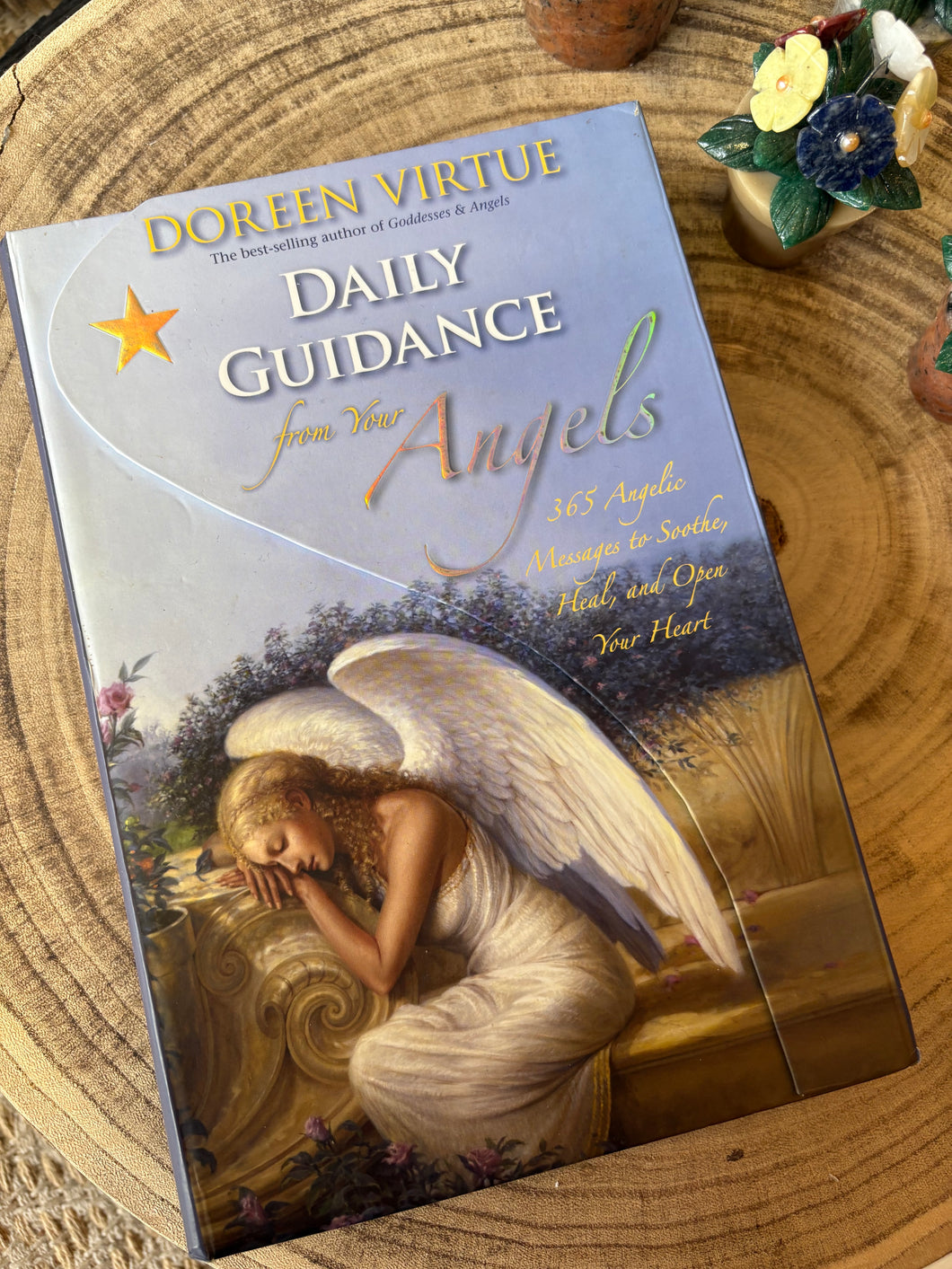 Secondhand Daily Guidance From Your Angels Book