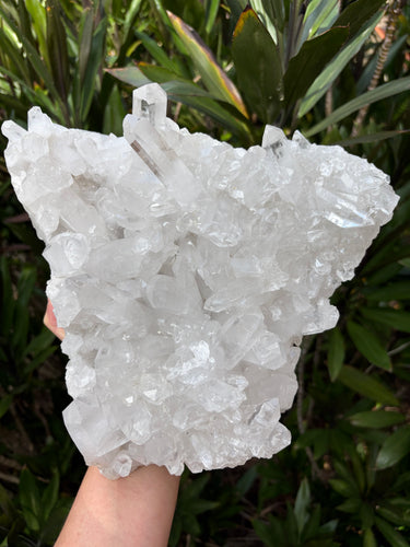 Clear Quartz Cluster SKU 24542