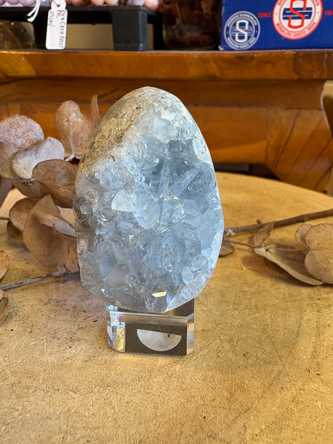 Celestite Cluster Egg SKU 25283
