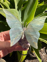 Blue Onyx Butterfly on Chevron Amethyst Chunk SKU 26761