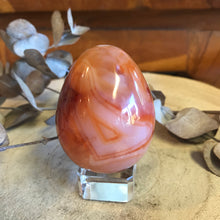 Carnelian Egg SKU 23464