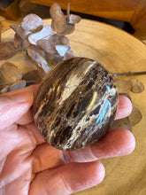 Black Opal Palm Stone SKU 24561