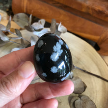 Snowflake Obsidian Egg SKU 23094A