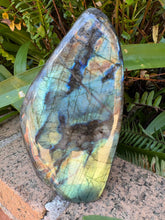 Labradorite Polished Freeform SKU 25469