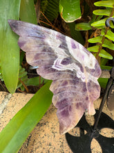 Chevron Amethyst Winged Butterfly SKU 25315A