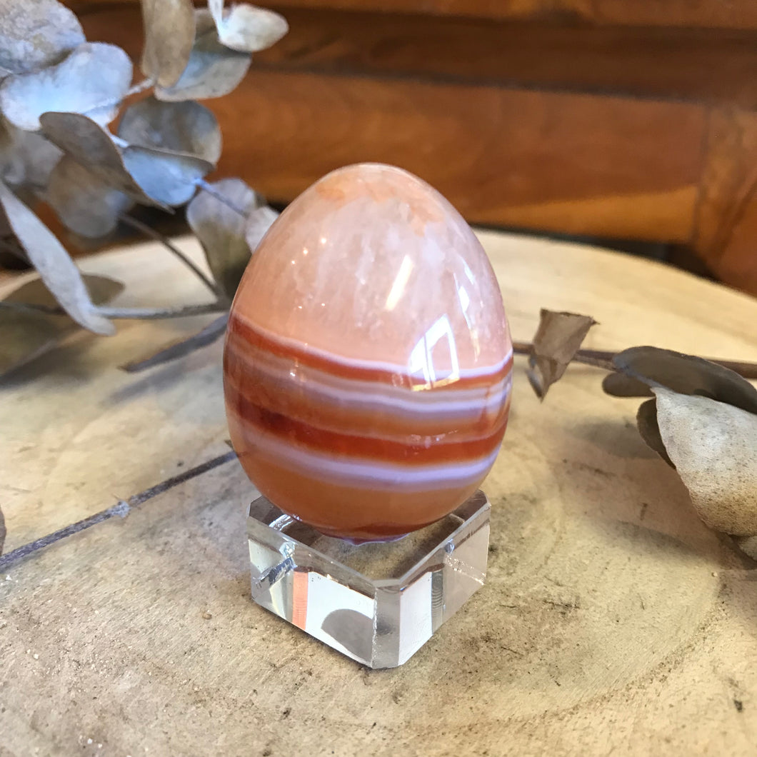 Carnelian Egg SKU 23098A