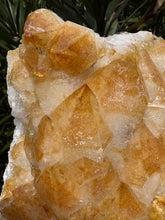Citrine Large Cluster SKU 25332