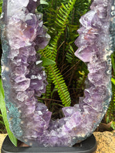 Amethyst Geode Slice in Wooden Stand SKU 25395