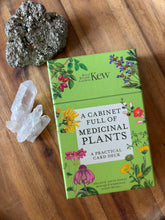 A Cabinet Full of Medicinal Plants