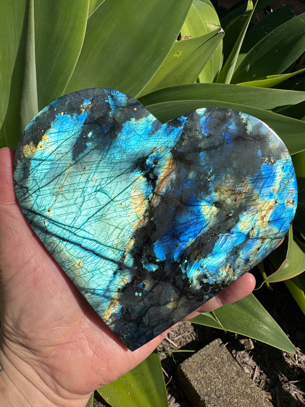 Labradorite Heart SKU 26688