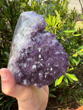 Amethyst Standing Cluster SKU 24523