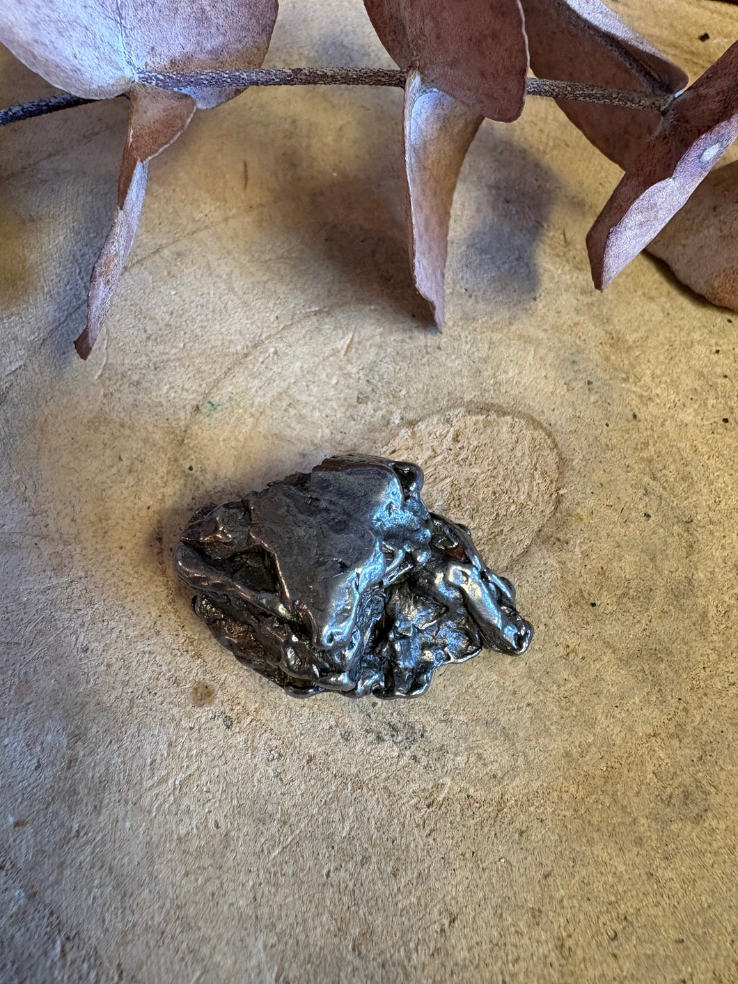 Campo del Cielo Meteorite SKU 26231