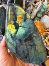 Labradorite Polished Freeform SKU 25469