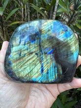 Labradorite Freeform SKU 24896