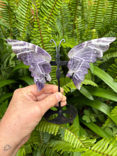 Chevron Amethyst Winged Butterfly SKU 25315B
