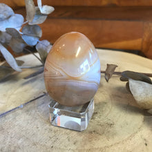 Carnelian Egg SKU 23098