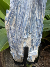 Blue Kyanite Cluster on Stand SKU 26264