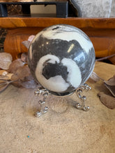 Shell Jasper Sphere SKU 24577