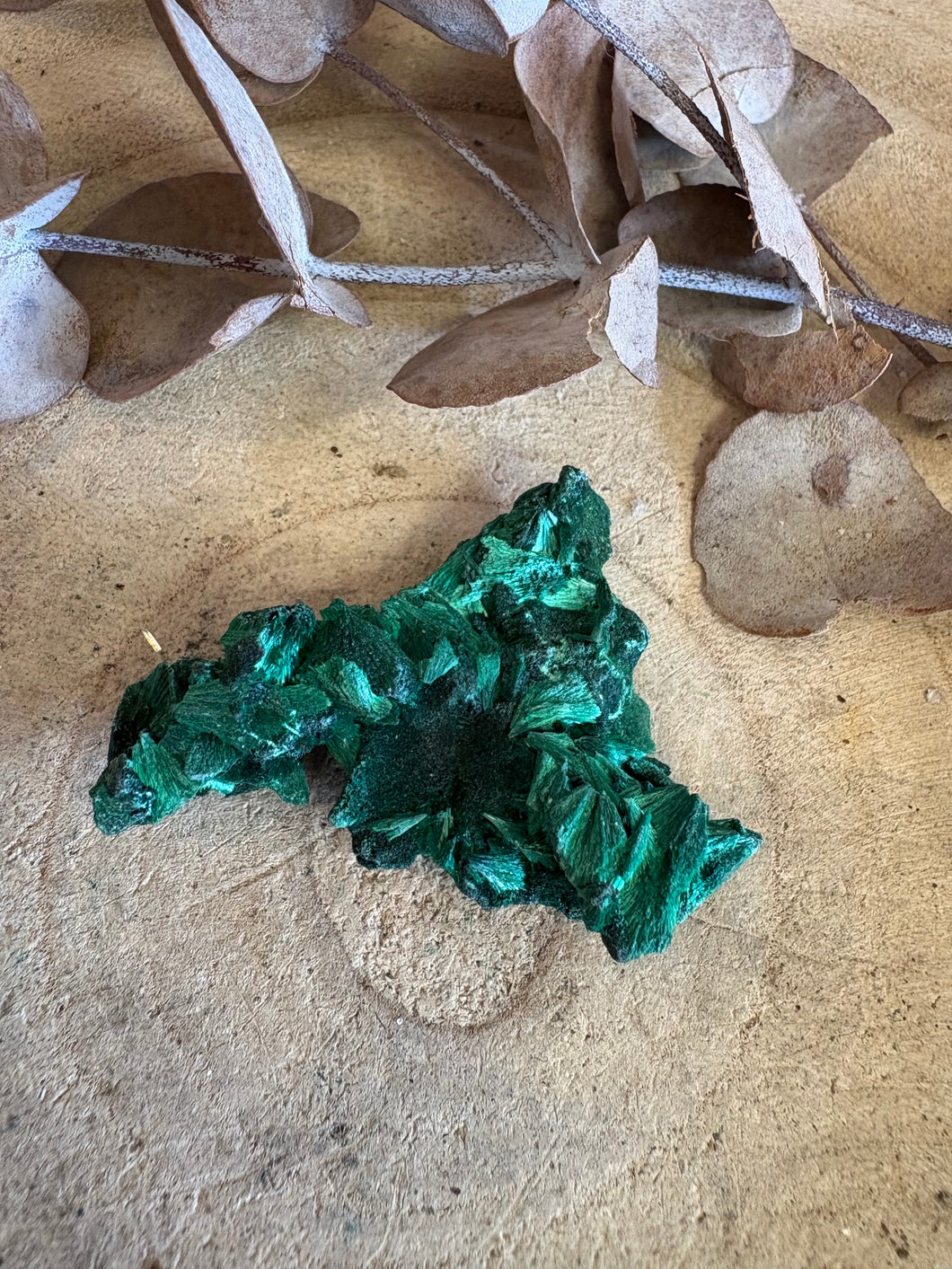 Velvet Malachite Specimen SKU 24422