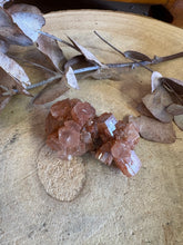 Aragonite Sputnik SKU 24607