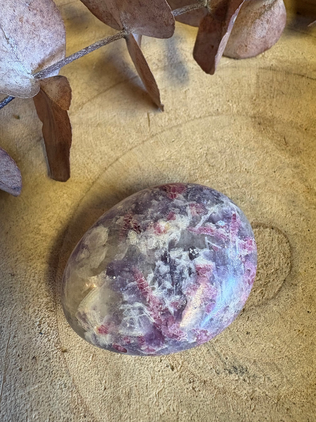 Unicorn Stone Palm Stone SKU 26071