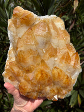 Citrine Large Cluster SKU 25332