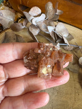 Aragonite Sputnik SKU 24423A