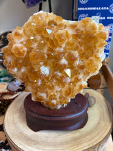 Citrine Cluster in Wooden Stand SKU 24910