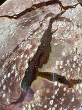 Thunder Egg Agate SKU 25088