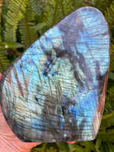 Labradorite Polished Freeform SKU 25468