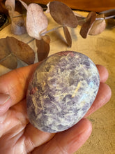 Unicorn Stone Palm Stone SKU 26071