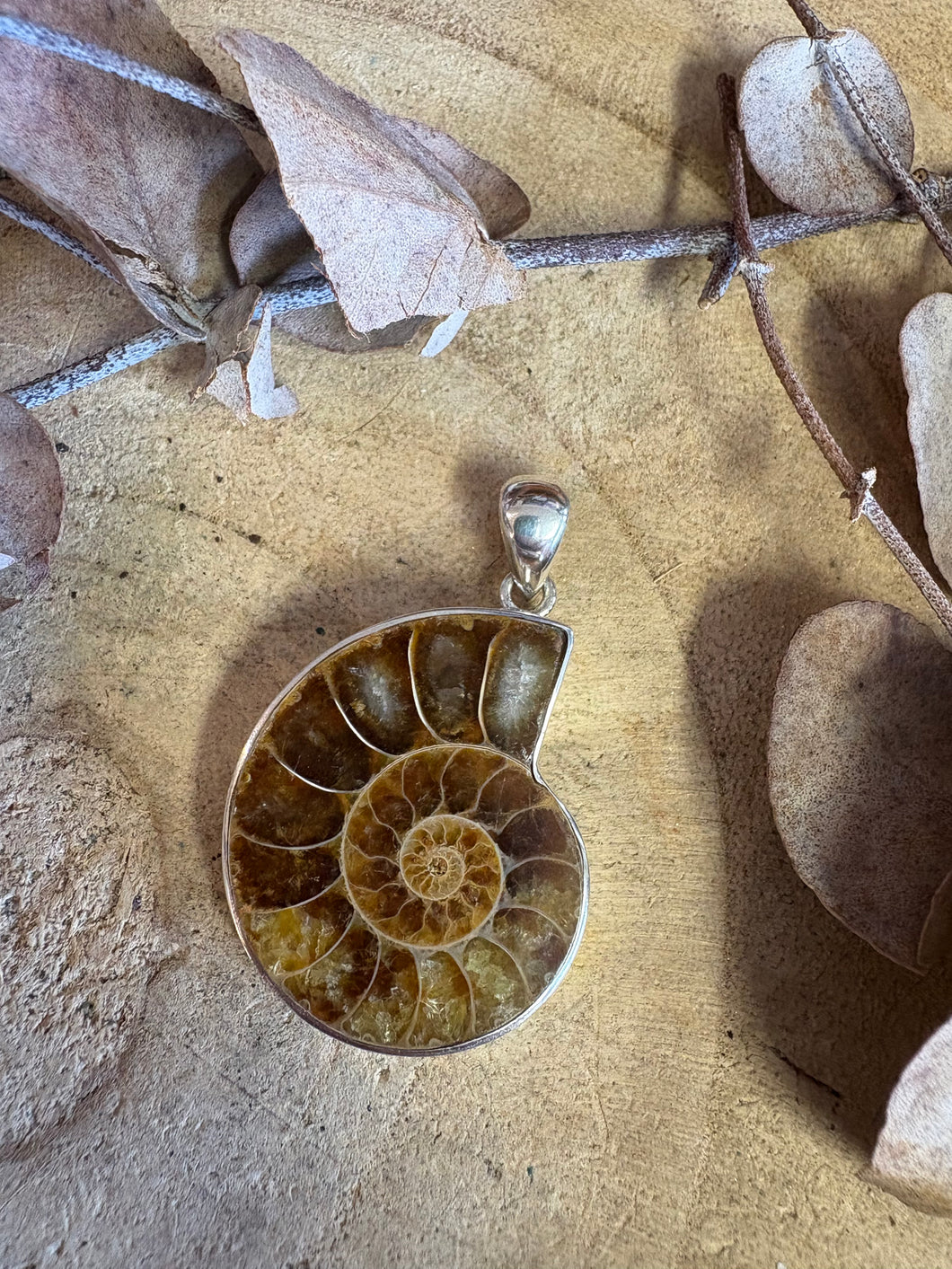 Sterling Silver Ammonite Pendant SKU 25336