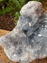Celestite Geode Cluster SKU 26188
