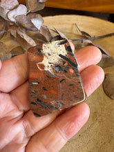 Red Silver Leaf Jasper SKU 23984G