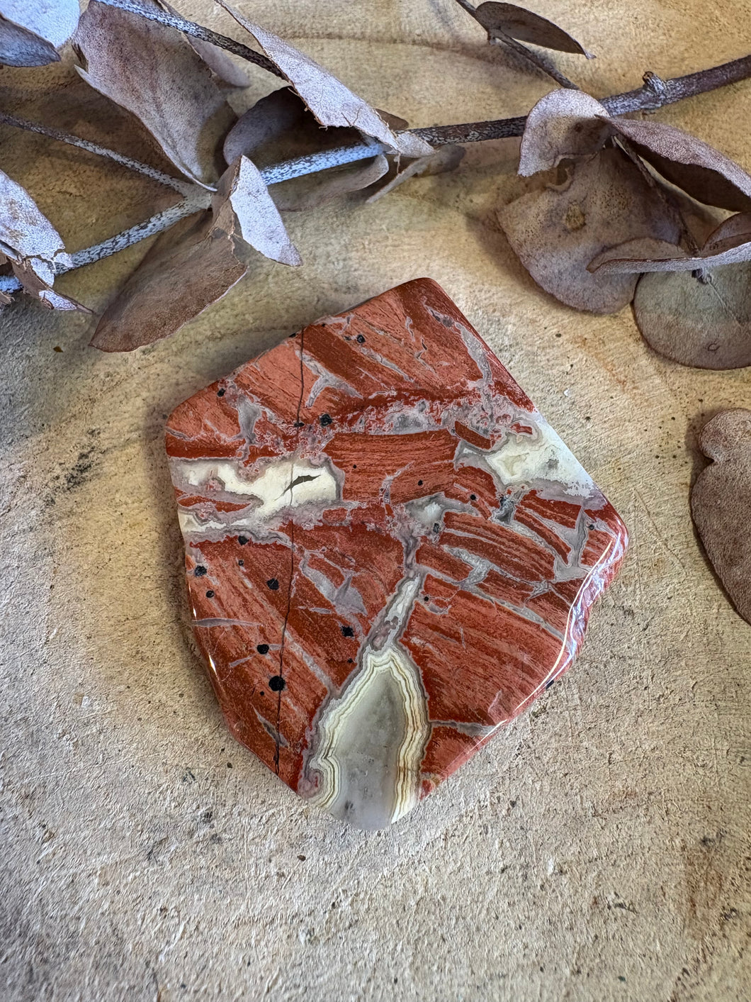 Red Silver Leaf Jasper Slab SKU 23984C