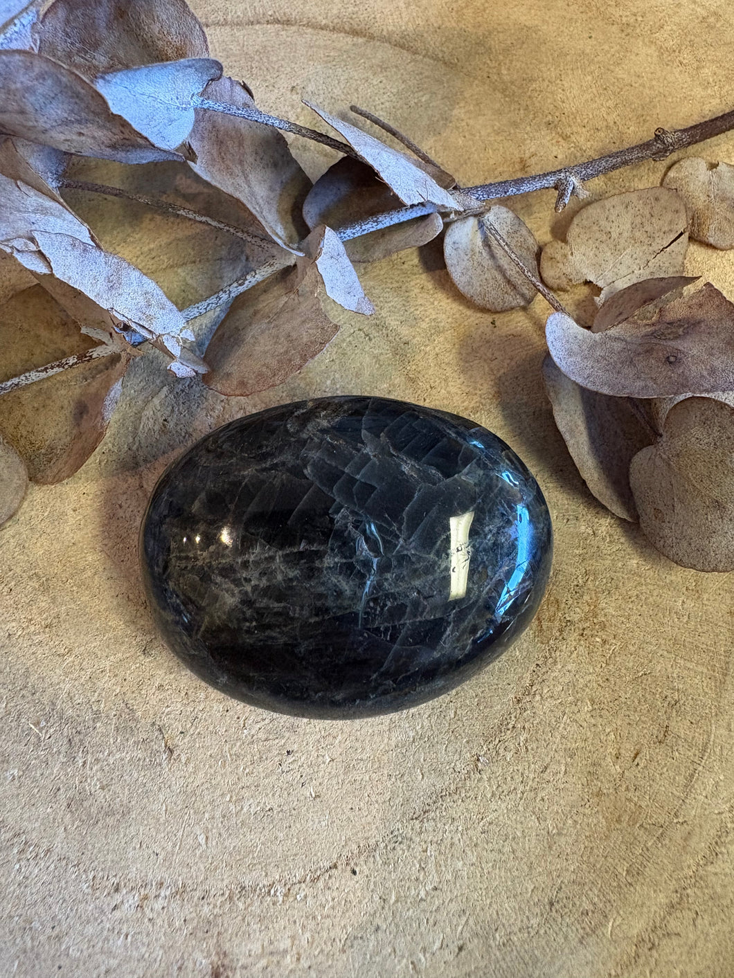 Black Moonstone Palm Stone SKU 24555