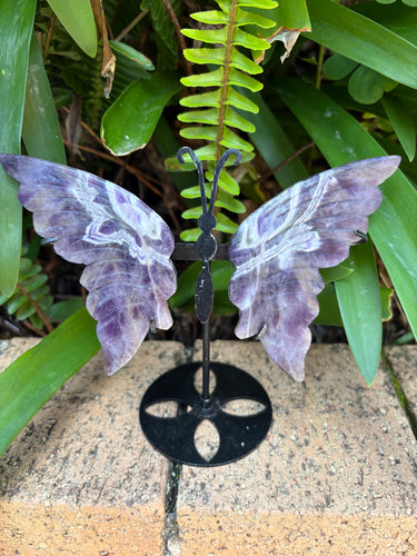 Chevron Amethyst Winged Butterfly SKU 25315A